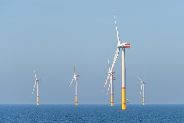 wind photo